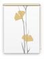 Preview: Rollo Ginkgo grey-gold, Motivrollo, Rollo mit Druck, Fotorollo, bedrucktes Rollo, Fensterrollo,verdunkelndes Rollo, Sonnenschutz Rollo